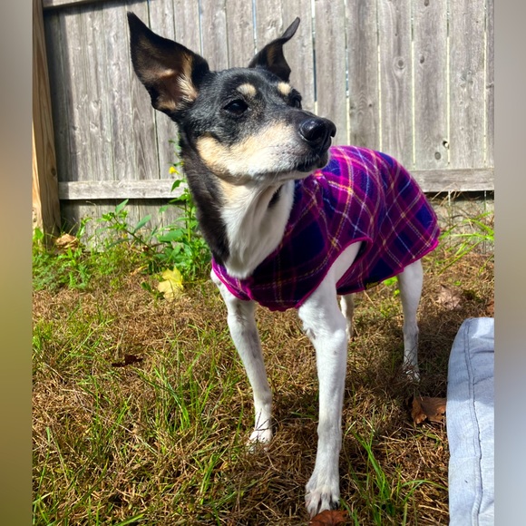 Meet your Posher, Sarah - Picture 7 of 17